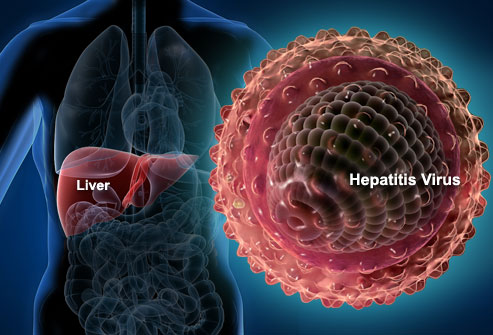 hepatitis-glutation-immunocal